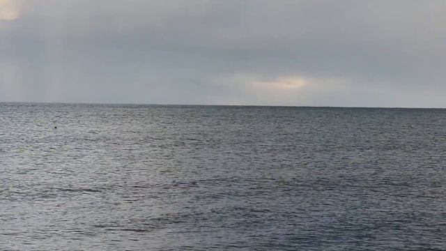 Охотск сивучи смотреть онлайн