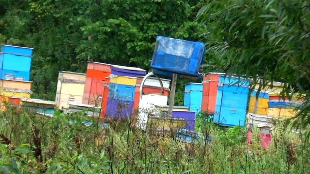 Велопутешествие пьяного пенсионера в Башкирию № 8 смотреть онлайн