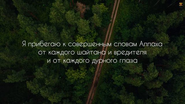 ДУА ОТ СГЛАЗА, ПОРЧИ, ЗАВИСТИ И  КОЛДОВСТВА | СИЛЬНЫЙ ДУА ОТ СГЛАЗА И ПОРЧИ