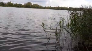 Улётная рыбалка в Ульяновске! #рыбалка#рыбалканаокуня#хобби#