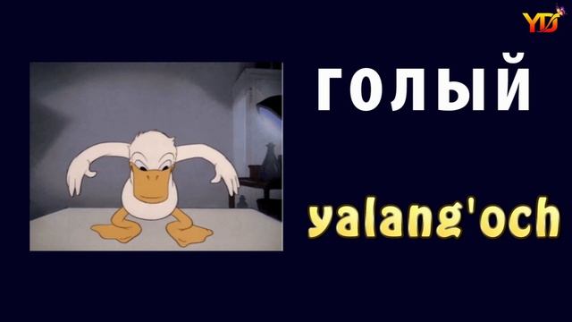 1000 Русский узбекский словарь 3 урок смотреть онлайн