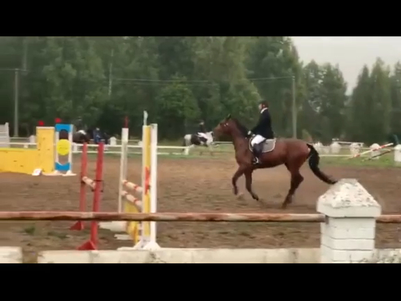 Конь конкурный сын Квазимодо Z (9022-1)