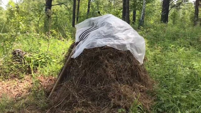 Галечник (порхалище) в лесу / заканчиваем работу на участке / свет в Зимовье / ждём открытие охоты… смотреть онлайн