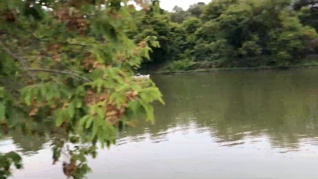 Последние тёплые денёчки и скоро зима.Река замёрзнет и можно будет по ней гулять смотреть онлайн