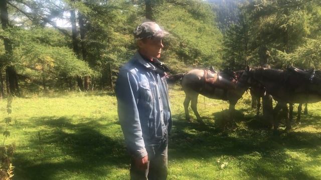 Путешевствие по Горному Алтаю. День 2й.Побывали и узнали что такое - Анос. 2020 смотреть онлайн