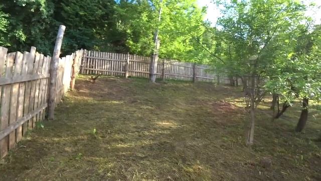 Они вырубили старый сад, чтобы освободить место под новые планы смотреть онлайн