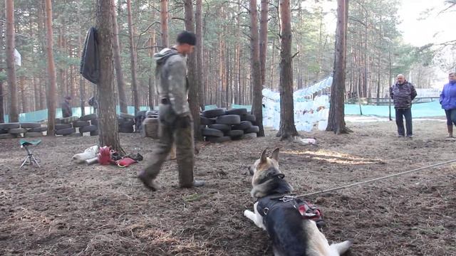 Тренинг по защите в Первоуральске.ВЕО.Мэр...0464 смотреть онлайн