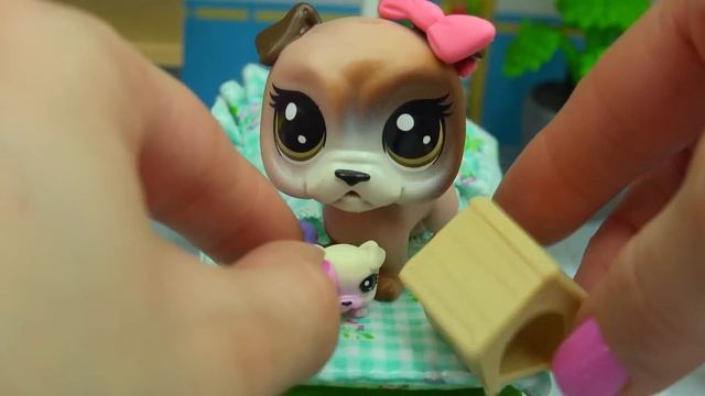 New Littlest Pet Shop Mom & Newborn Baby Sets - Mommies + Babies at Hospital смотреть онлайн