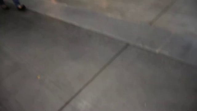Санкт Петербургская международная конная выставка «Иппосфера» видео воскресенье 10 смотреть онлайн