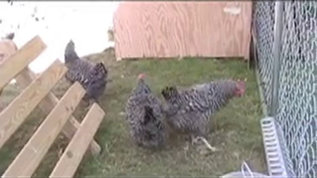 In Lieu of a Cowbell смотреть онлайн