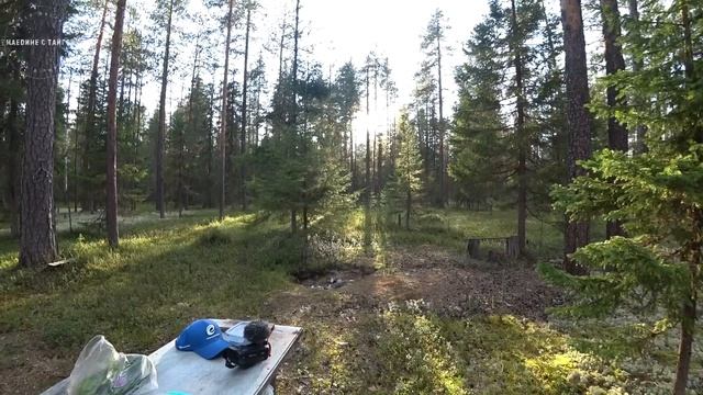СПАСАЕМСЯ ОТ ЖАРЫ В ИЗБЕ! / Ч.2 Батя готовит ужин / Живем в лесу / Сплав по таежной реке смотреть онлайн