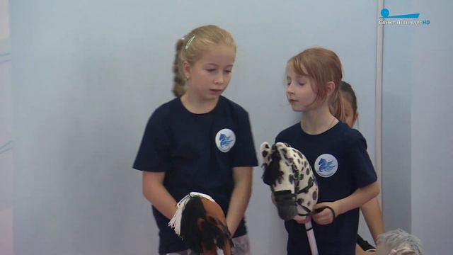 Я люблю свою лошадку: почему хоббихорсинг - это вполне серьёзно