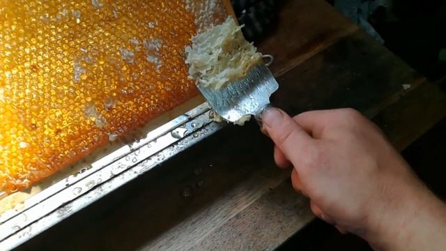ОТКАЧКА МЕДА!КАЧАЕМ ЛЕСНОЙ МЕД!МЕД В СОТАХ! смотреть онлайн