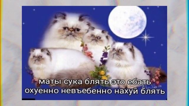 ПОЧЕМУ МАТЫ ЭТО ПЛОХО? смотреть онлайн