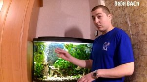 Уход за аквариумом для начинающих аквариумистов! Как ухаживать за аквариумом, рыбками, растениями!