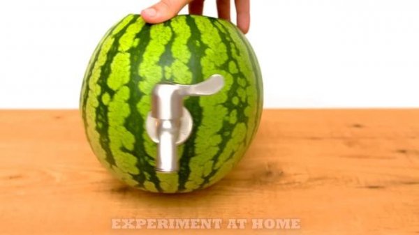 10 Amazing Watermelon LifeHacks!!