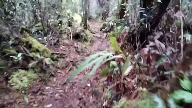 Puteri Gunung Ledang || Hiking via Sagil смотреть онлайн