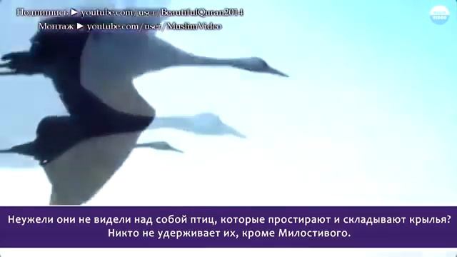 😍КАК ЖЕ КРАСИВО "СУРА АЛЬ МУЛЬК" смотреть онлайн