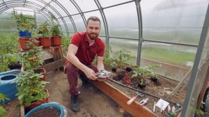 Усадьба:«Огород круглый год»