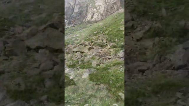 Горный Заповедник Безенги 2021 смотреть онлайн