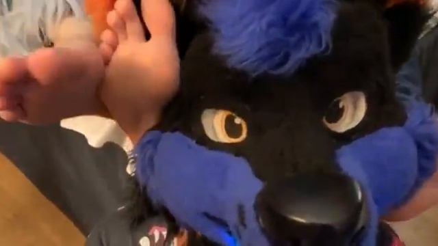 Barefoot Fursuit Furries 59