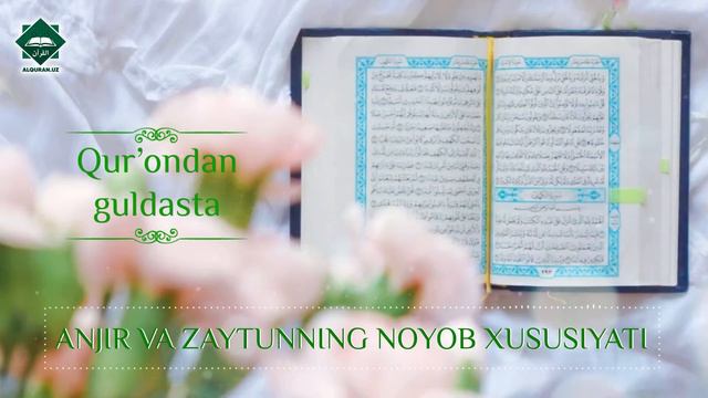 Qur'ondan guldasta - ANJIR VA ZAYTUNNING NOYOB HUSUSIYATLARI смотреть онлайн