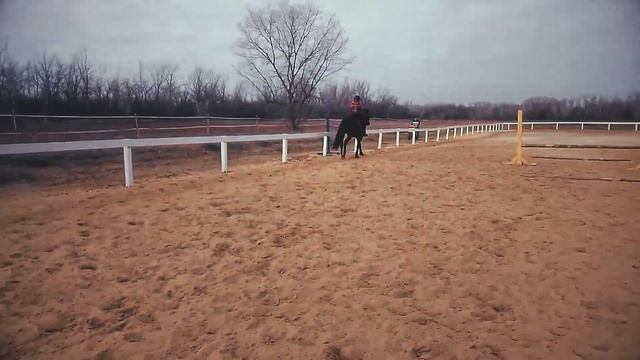 ღ Небольшой отрывок жизни #конюшни ღ Маргарита Заезжает своего коня - Буцефала смотреть онлайн