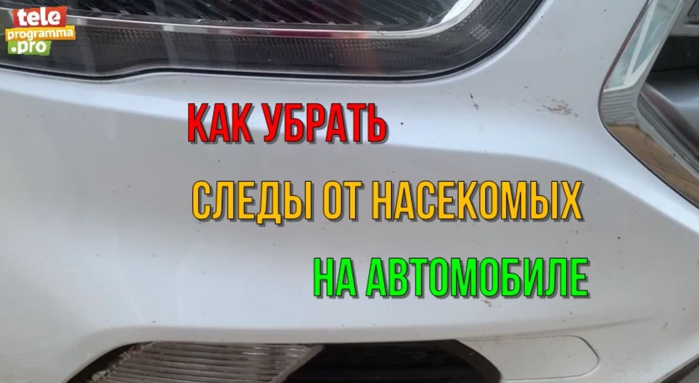 Как отмыть машину от насекомых - въедливые пятна смотреть онлайн