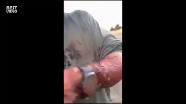 антимедвежий баллончик//anti-bear spray смотреть онлайн