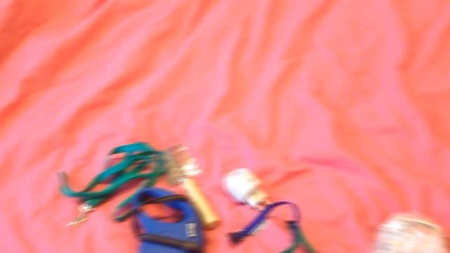 VLOG:Собираем вещи в ростов\поездка с собакой !