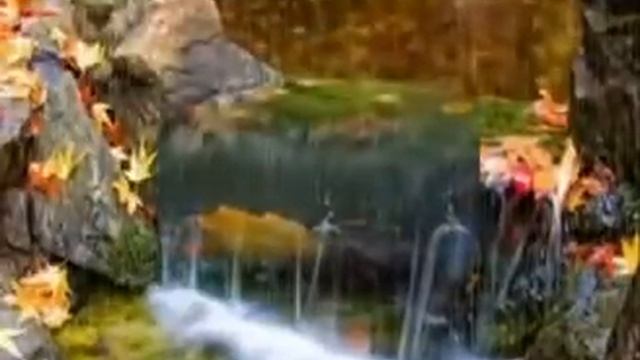 "МЕЛОДИЯ РАЯ" Ф.Шопен смотреть онлайн