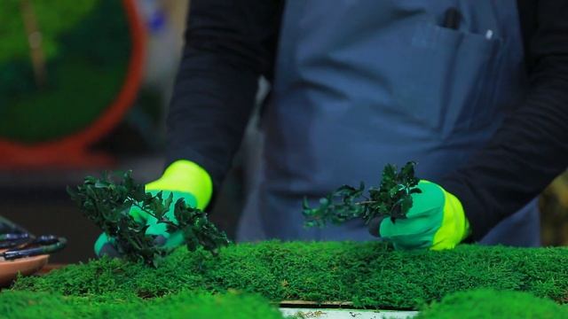 Эко-стиль в современном интерьере / Infinity Green смотреть онлайн