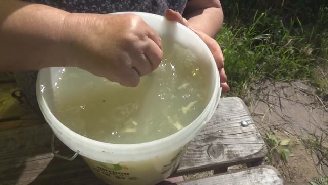 Народный способ обработки огурцов и помидоров от болезней смотреть онлайн