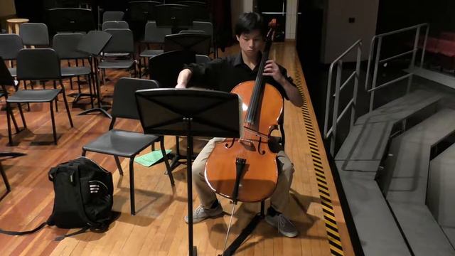 Brahms Cello Sonata No 1 in e minor- Movement 1 смотреть онлайн