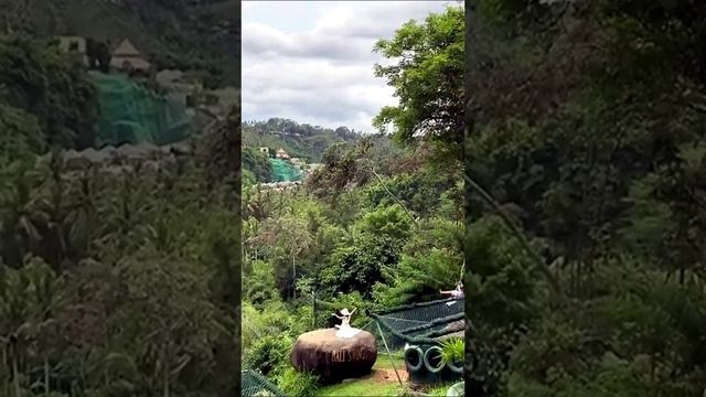 Туры на Бали Остров мечты за 10 дней #отдых #путешествия #travel #туризм #2024 #отпуск #бали2024 смотреть онлайн