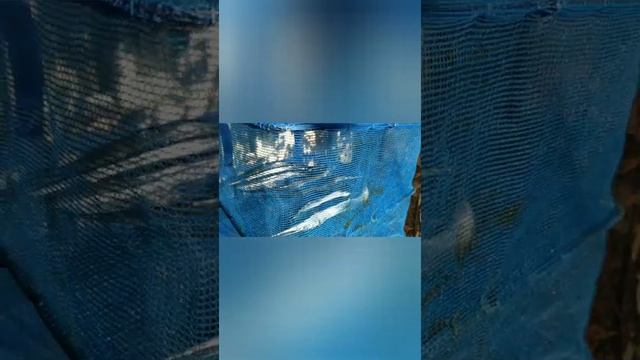 Фотография Городских Пейзажей