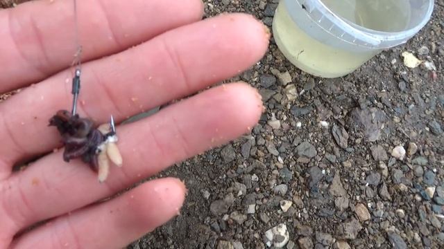 куда УШЛА вся вода из озера РЫБАЛКА на фидер и донки смотреть онлайн