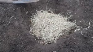 НЕТ ПОГРЕБА,  ПОДСКАЖУ КАК СОХРАНИТЬ ОВОЩИ