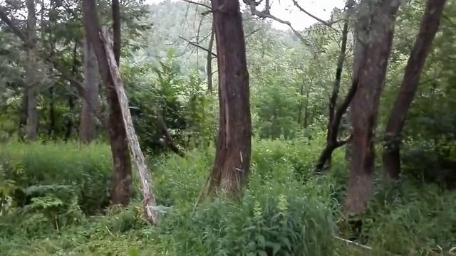 Поход на Инзер 16.07.2016 г. смотреть онлайн