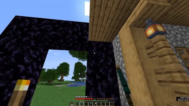 Minecraft Java Stream 5 (Read Description) смотреть онлайн
