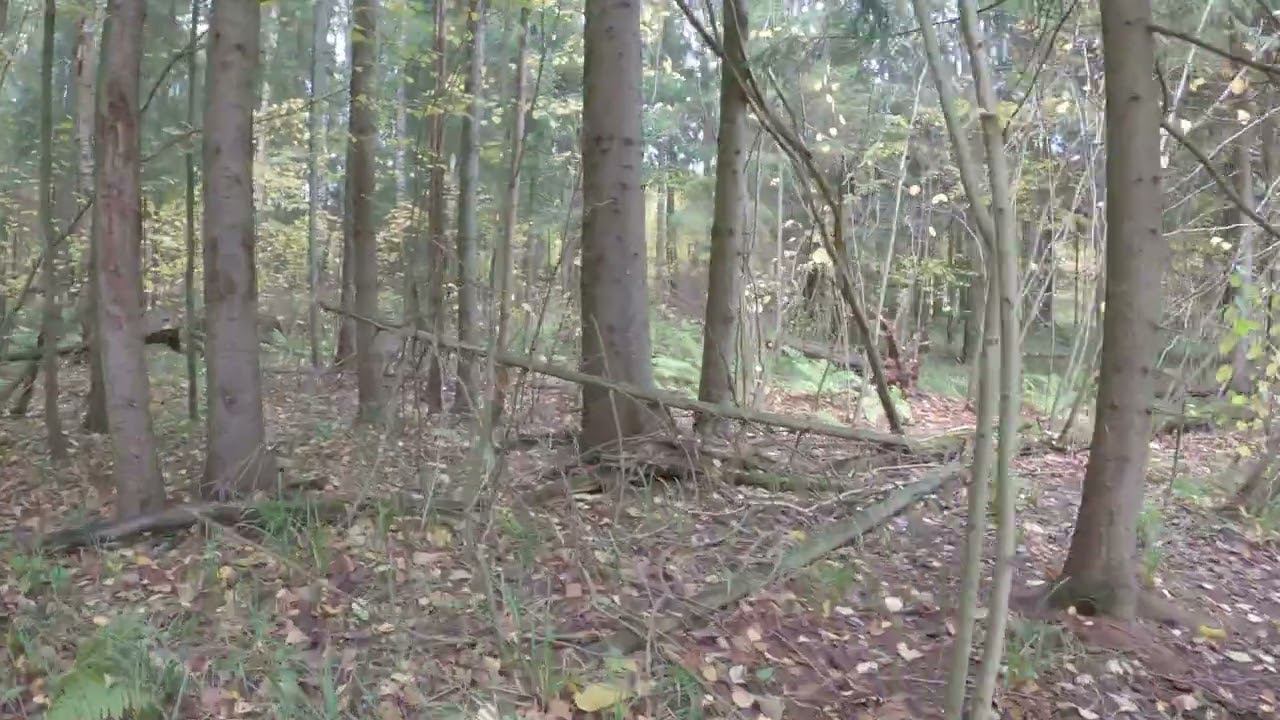 7.10.2022_2 смотреть онлайн