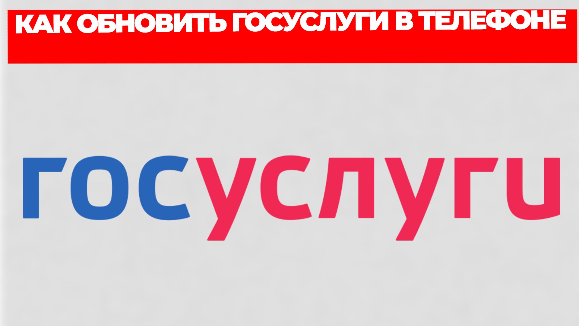 Всезнающий Енот