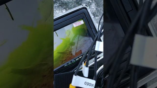 Река Илеть. смотреть онлайн