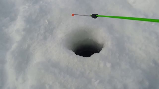 Отчёт о рыбалке на Иртыше) смотреть онлайн