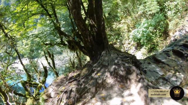 ПОХОД НА ОРЕХОВСКИЕ ВОДОПАДЫ | НЕ ПОВТОРЯЙТЕ! | ДОСТОПРИМЕЧАТЕЛЬНОСТЬ СОЧИ | #СОЧИНАИЗНАНКУ смотреть онлайн