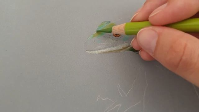 Drawing an Emerald Tree Monitor | Part 1 | Head and Eye | Coloured pencils смотреть онлайн