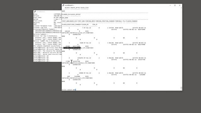 5 Demonstration for Cluster Database, Oracle 12c RAC Primer смотреть онлайн