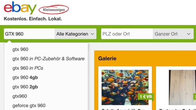 DIESE GRAFIKKARTEN gibt es für 50 EURO auf EBAY Kleinanzeigen! Gebrauchte Grafikkarten 2021 смотреть онлайн
