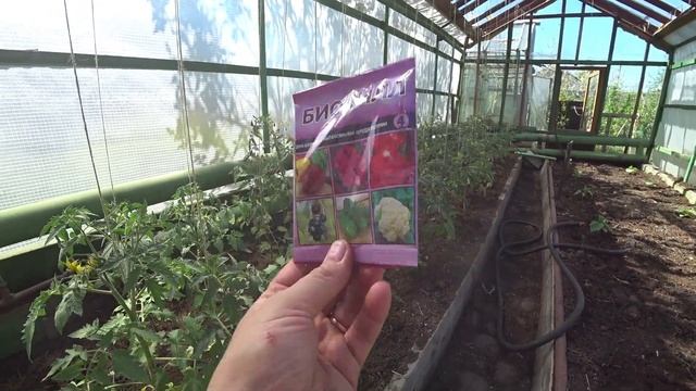 Белокрылка. Методы борьбы смотреть онлайн