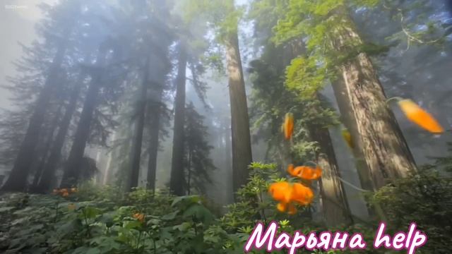 СКАЗКА ?"Сломанная веточка" , для ЯРОСЛАВА.От 2х-до 6 ти лет.Подпишитесь?❤️, спасибо за?. В описани смотреть онлайн